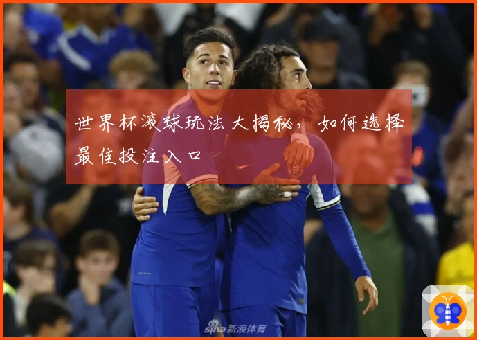 世界杯滚球玩法大揭秘，如何选择最佳投注入口
