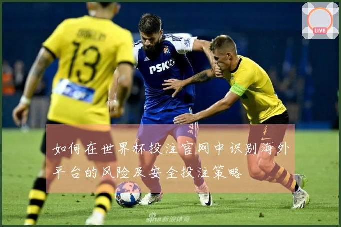 如何在世界杯投注官网中识别海外平台的风险及安全投注策略