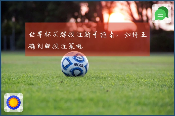 世界杯买球投注新手指南，如何正确判断投注策略