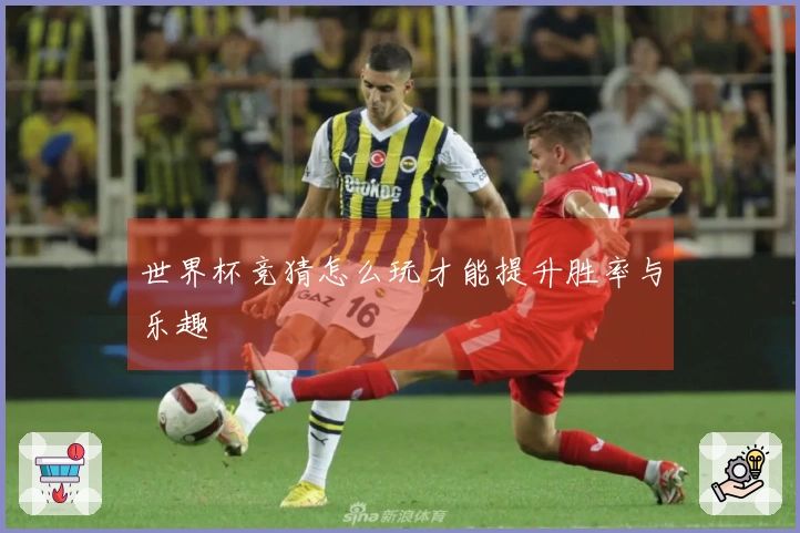 世界杯竞猜怎么玩才能提升胜率与乐趣