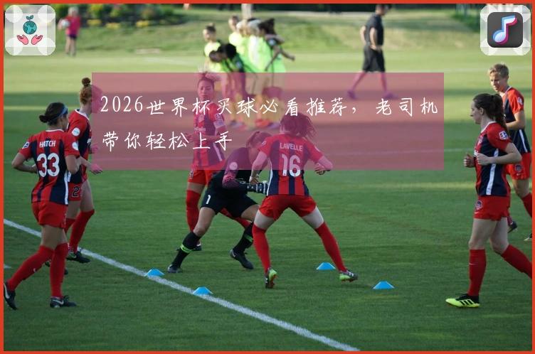 2026世界杯买球必看推荐，老司机带你轻松上手