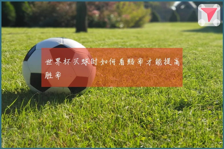 世界杯买球时如何看赔率才能提高胜率