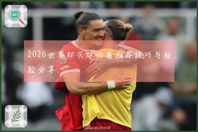 2026世界杯买球必看推荐技巧与经验分享