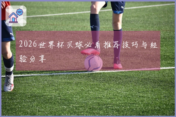 2026世界杯买球必看推荐技巧与经验分享