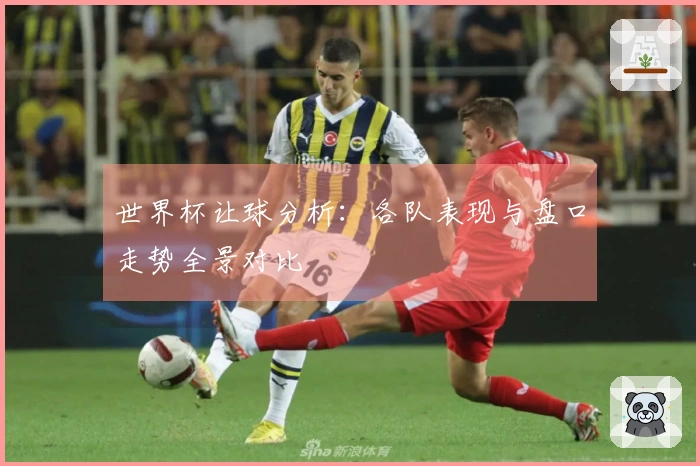 世界杯让球分析：各队表现与盘口走势全景对比