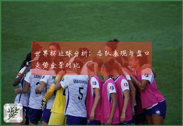 世界杯让球分析：各队表现与盘口走势全景对比