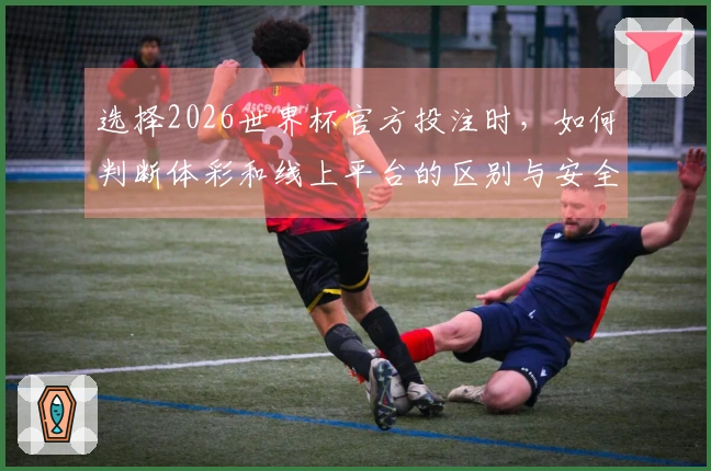 选择2026世界杯官方投注时，如何判断体彩和线上平台的区别与安全性？