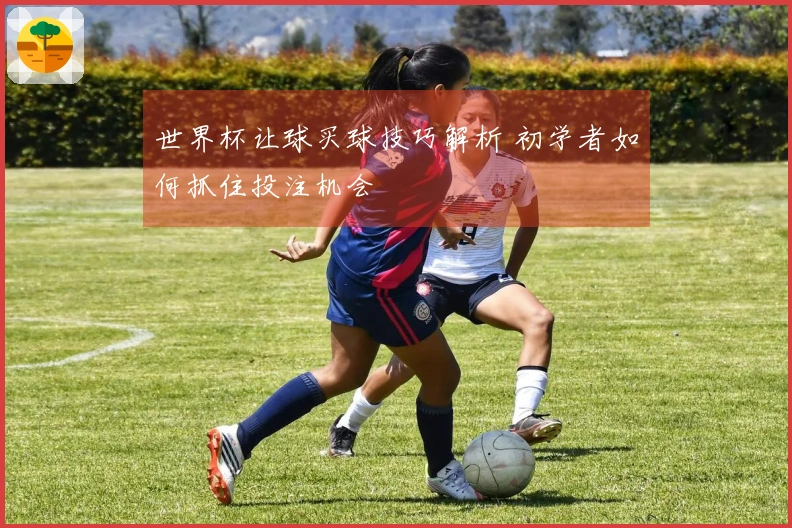 世界杯让球买球技巧解析 初学者如何抓住投注机会