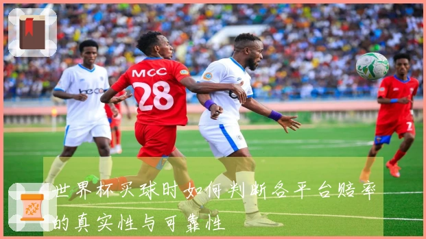 世界杯买球时如何判断各平台赔率的真实性与可靠性