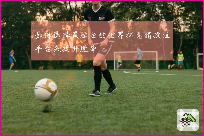如何选择最适合的世界杯竞猜投注平台来提升胜率