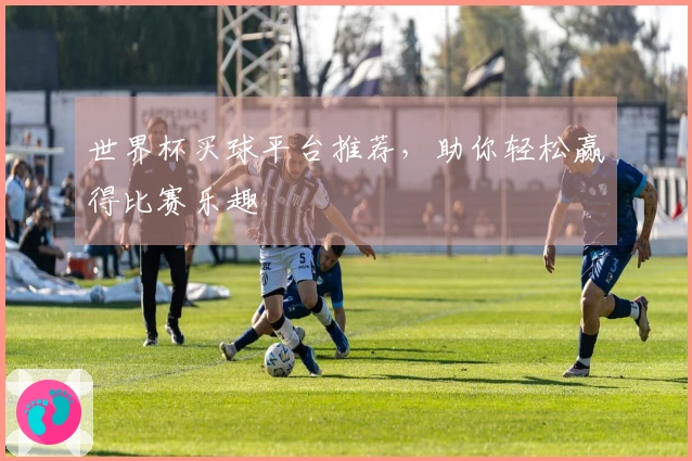 世界杯买球平台推荐，助你轻松赢得比赛乐趣