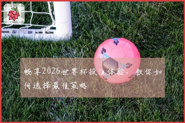 畅享2026世界杯投注体验，教你如何选择最佳策略
