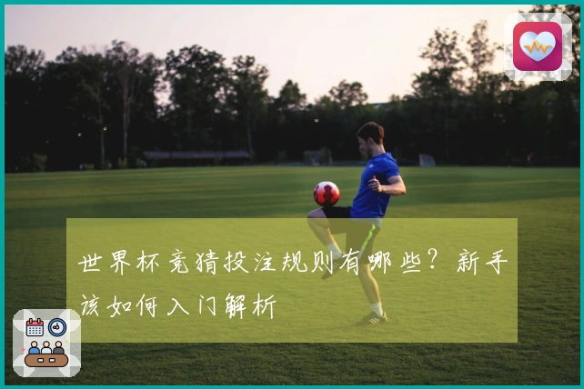 世界杯竞猜投注规则有哪些？新手该如何入门解析
