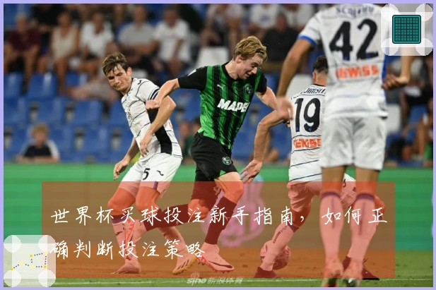 世界杯买球投注新手指南，如何正确判断投注策略
