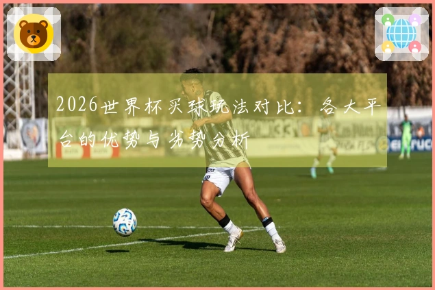 2026世界杯买球玩法对比：各大平台的优势与劣势分析