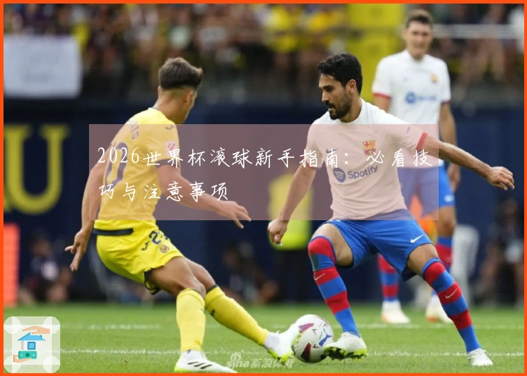 2026世界杯滚球新手指南：必看技巧与注意事项