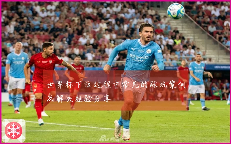 世界杯下注过程中常见的踩坑案例及解决经验分享