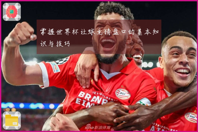 掌握世界杯让球竞猜盘口的基本知识与技巧