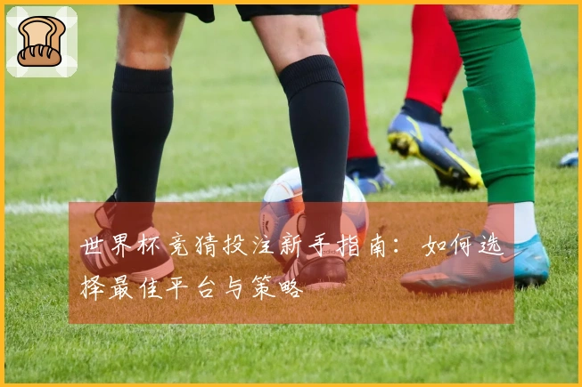 世界杯竞猜投注新手指南：如何选择最佳平台与策略